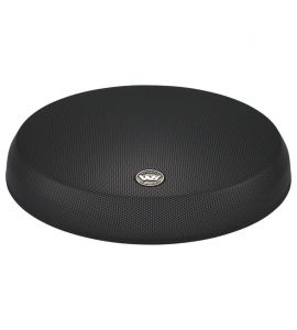 mit JL Audio SGR10W6 Gitter