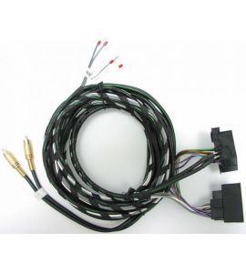 Quad-Lock 2,5m